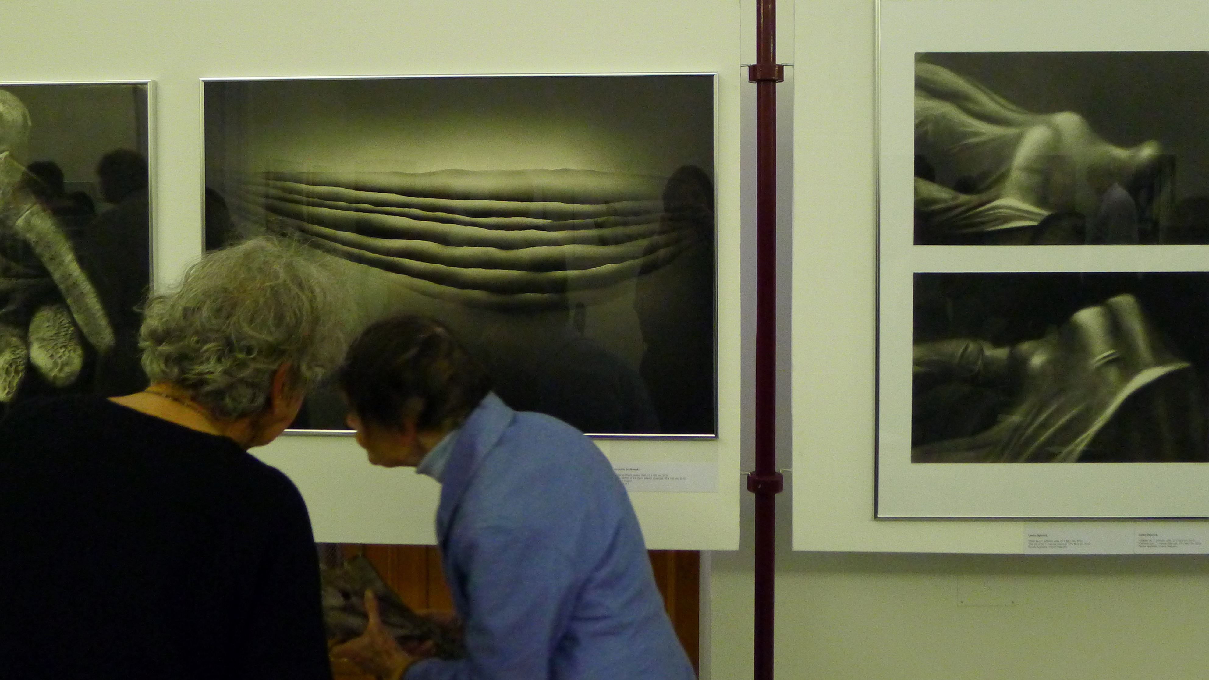 VIII Intarnational Biennial of Drawing Pilsen 2012
