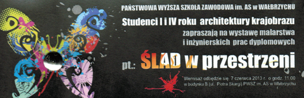 Ślad w przestrzeni 2013