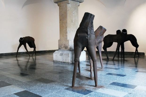 Anna Bujak, Stado, 2011, stal spawana, BWA Awangarda, Wrocław, wystawa prac dyplomowych, fot. Hubert Bujak