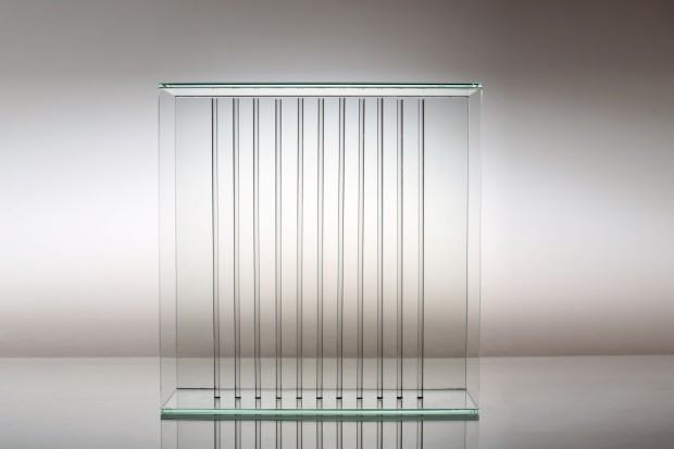 Strunowiec Beata Mak-Sobota