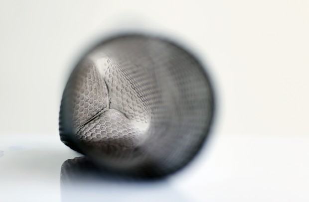 Justyna Żak, Młodzi na start