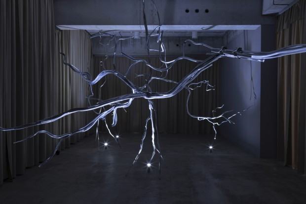 Anna Bujak, Hiperobiekty, 2025, BWA Studio, fot. Alicja Kielan