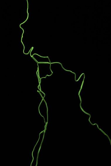 Anna Bujak, Oceany, 2025, Sympozjum Międzynarodowe Panta Rhei, Zlin, Czechy, archiwum autorki