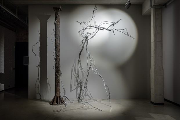 Anna Bujak, Korzenie, wystawa grupowa Ogród wojenny. Rośliny w czasie konfliktu, 66P Wrocław 2025, fot. Michał Pietrzak