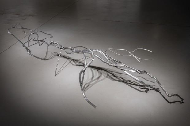 Anna Bujak, Korzenie, wystawa grupowa Ogród wojenny. Rośliny w czasie konfliktu, 66P Wrocław 2025, fot. Michał Pietrzak