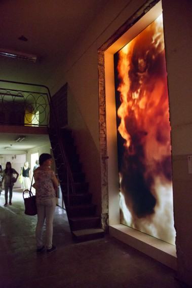 dr hab. Maja Wolińska dr hab. Maja Wolińska