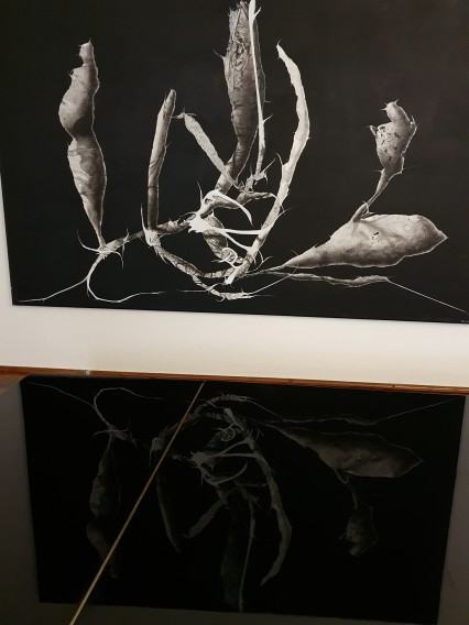 wystawa Łukasza Huculaka