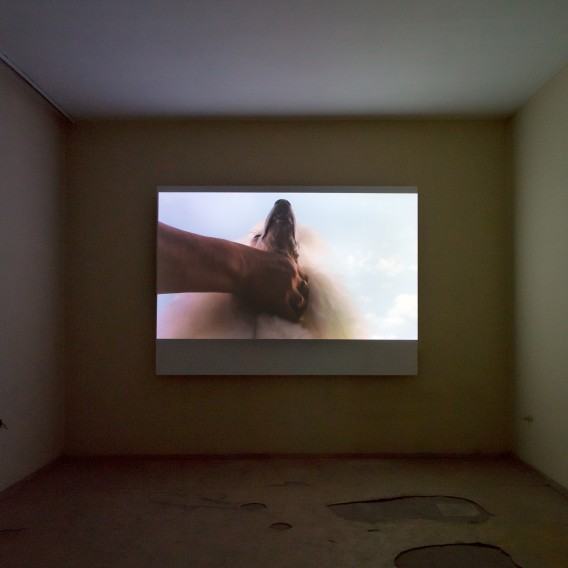 dr hab. Maja Wolińska dr hab. Maja Wolińska