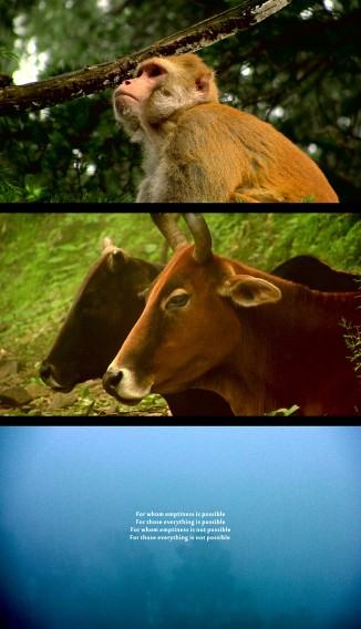 dr hab. Maja Wolińska dr hab. Maja Wolińska