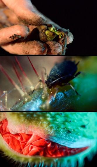 dr hab. Maja Wolińska dr hab. Maja Wolińska