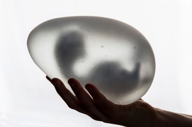 Karolina Petela, Transformacja, 2 rok, 2019