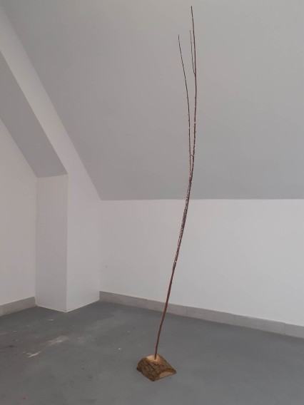 fotorelacja z pleneru rzeźbiarskiego Rzeźba wobec funkcji fotorelacja z pleneru rzeźbiarskiego Rzeźba wobec funkcji