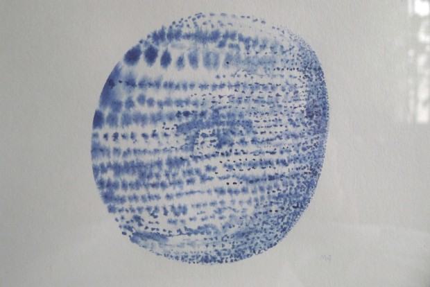 Magdalena Grzybowska, Zbiory