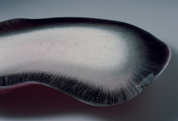 Dagmara Bielecka, Organica 01, ornament formowany w ogniu palnika, cięty, układany, zgrzewany, szkło odkształcane w temperaturze pieca, 2016, zdj. Stanisław Sielicki