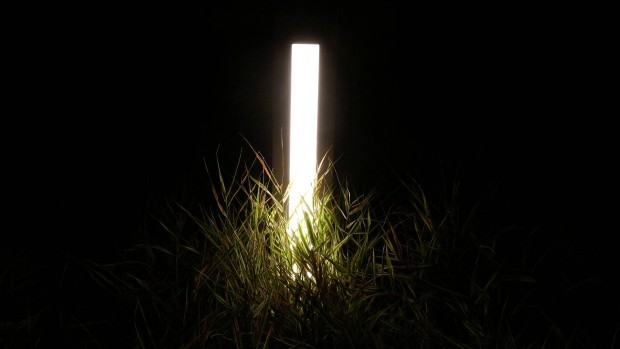 Maja Wolińska, NIght shade of bright