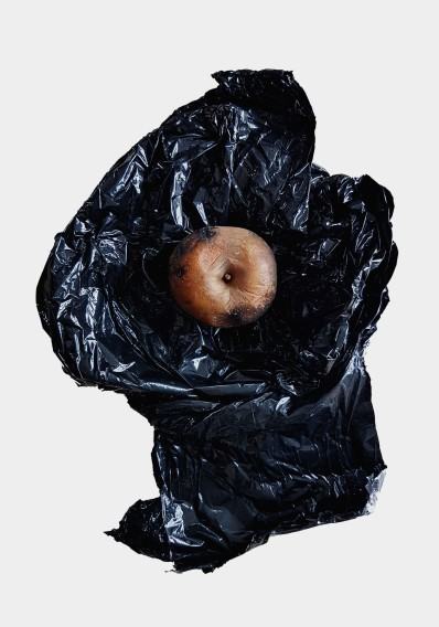 ewa-martyniszyn ewa-martyniszyn