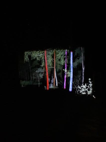 fotorelacja z pleneru rzeźbiarskiego Rzeźba wobec funkcji fotorelacja z pleneru rzeźbiarskiego Rzeźba wobec funkcji