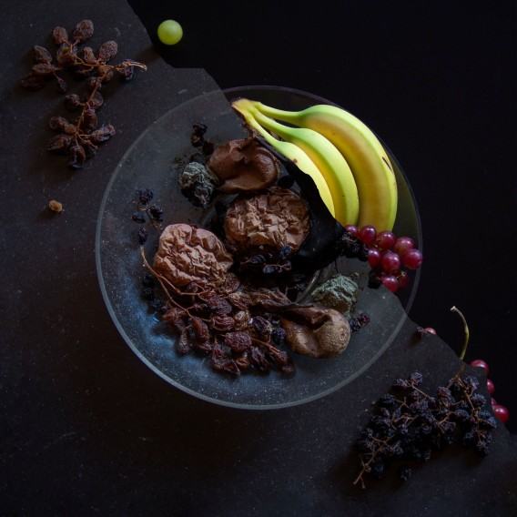 sofia-vero sofia-vero