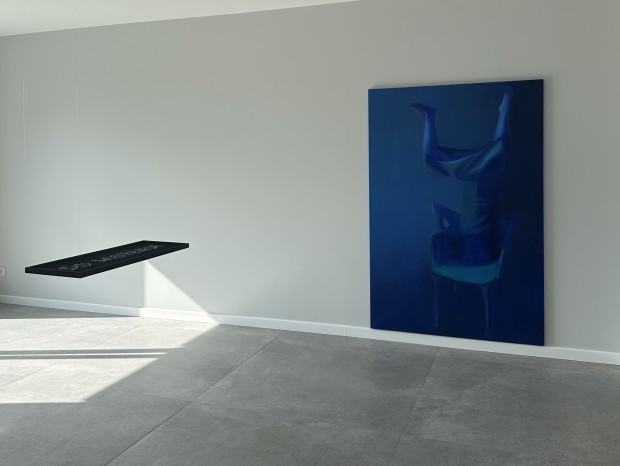 Obrona dyplomu Zuzanny Janosz / Perpetual Game