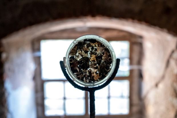 Grzybowska Magdalena