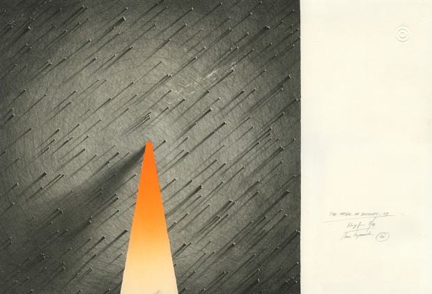 dr hab. Anna Trojanowska