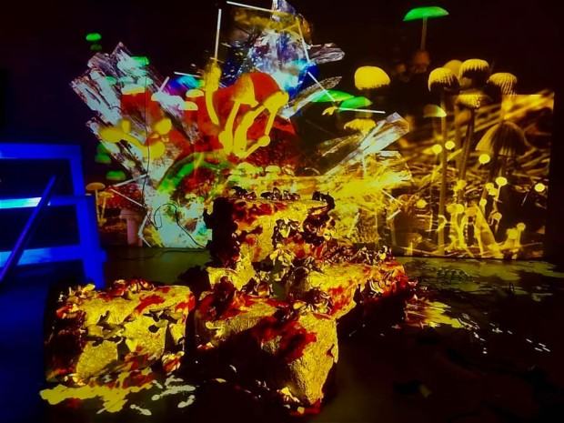 2022-installationtraverses-spaces-of-imagination-neon-gallery-sochacki