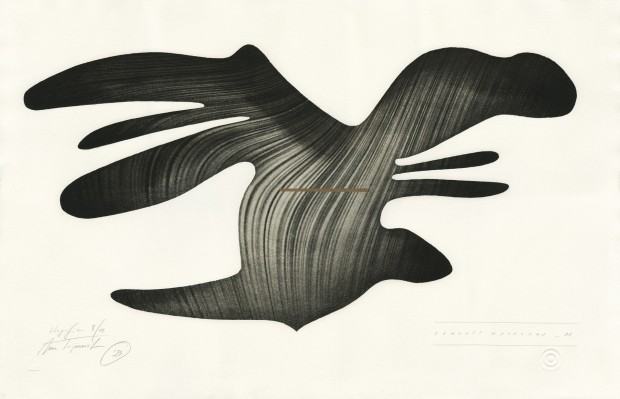 ECHOLOLIA Anny Trojanowskiej