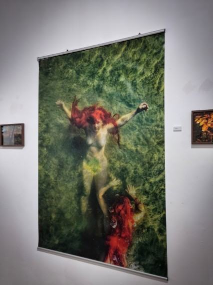 20241206_162454.jpg Beata Stankiewicz -Szczerbik