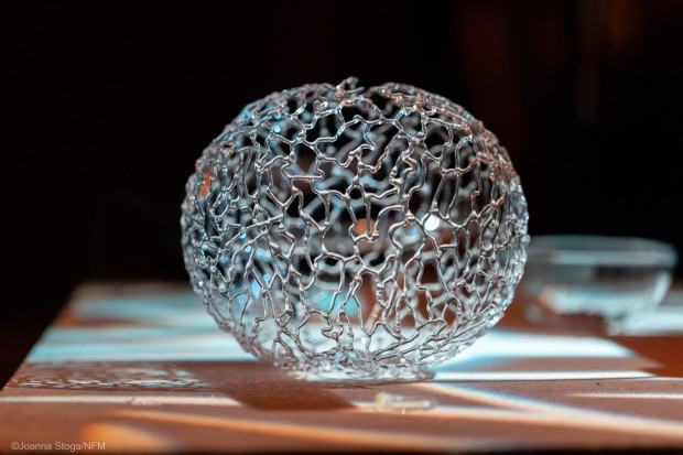 zdj. Dariusz Kulesza zdj. Dariusz Kulesza