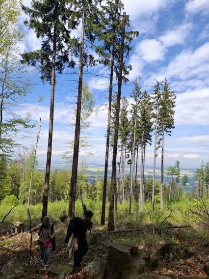 Ekspedycja Rzeźby ASP Wrocław na Ślężę Ekspedycja Rzeźby ASP Wrocław na Ślężę