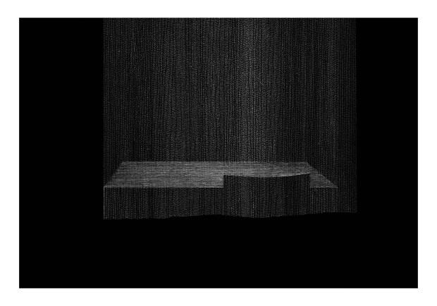 Marta Lech, linoryt, 2010