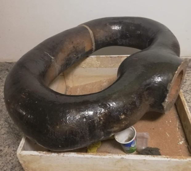 Rzeźba ceramiczna autorstwa art. ceramika Zdzisława Szyszki „Klucz” (1977 r.) znajdująca się na terenie ASP we Wrocławiu. Stan po konserwacji i restauracji (Fot. Michał Matuszczyk) Rzeźba ceramiczna autorstwa art. ceramika Zdzisława Szyszki „Klucz” (1977 r.) znajdująca się na terenie ASP we Wrocławiu. Stan po konserwacji i restauracji (Fot. Michał Matuszczyk)