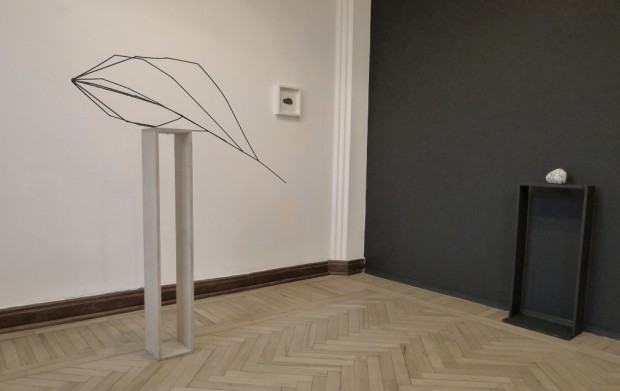 Magdalena Grzybowska, Zbiory