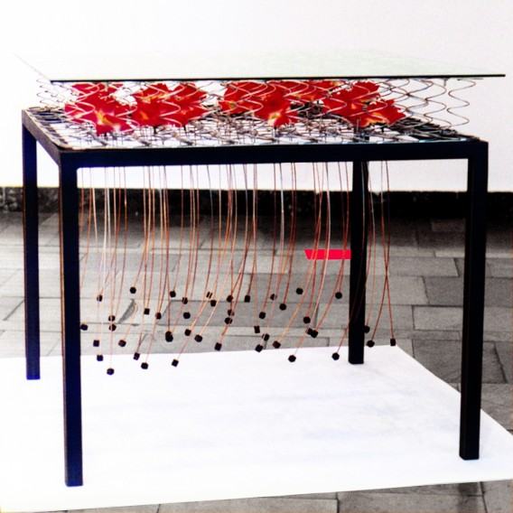 Jacek Kulig, z różami, zdj. autor