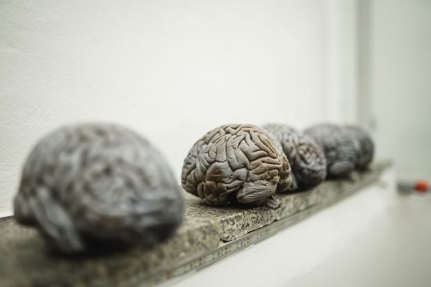 Wystawa grupy Silesium we Lwowie Wystawa grupy Silesium we Lwowie