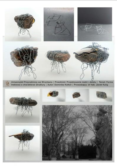 Wystawa studencka - Architektura zieleni we wnętrzach