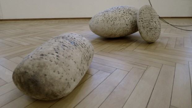 Magdalena Grzybowska, Zbiory