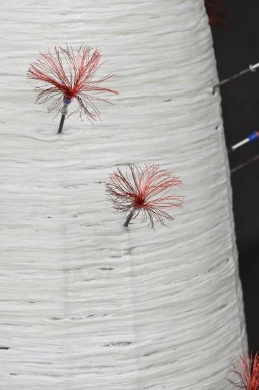 K.Pawlak, zdj. W. Kowalski K.Pawlak, zdj. W. Kowalski