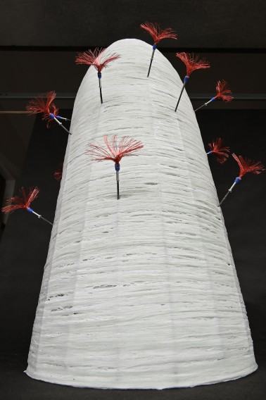 K.Pawlak, zdj. W. Kowalski K.Pawlak, zdj. W. Kowalski