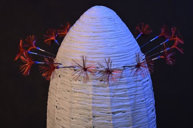 K.Pawlak, zdj. W. Kowalski K.Pawlak, zdj. W. Kowalski