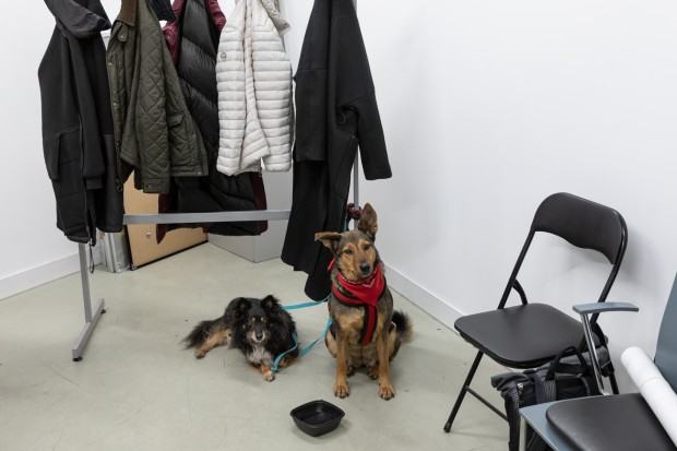 Beata Mak-Sobota - Światy równoległe – equilibrium