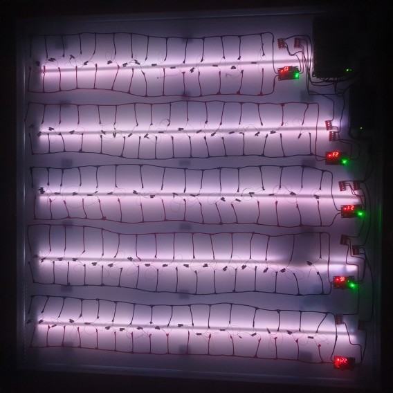 albert-wrotnowski_2021_inkubator-milosci.jpg Albert Wrotnowski, Inkubator miłości, 2021