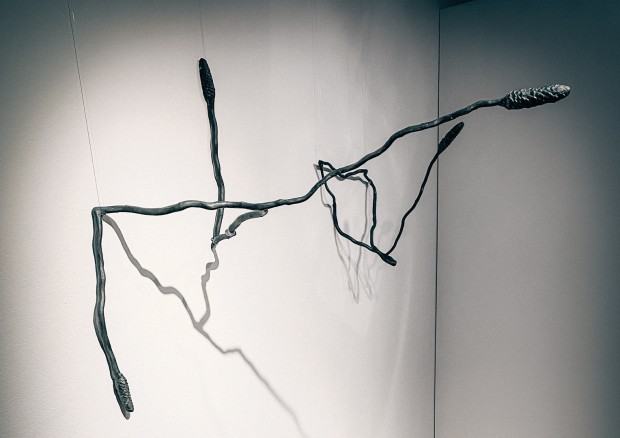 Świat Blasku – fragment wystawy Anny Bujak na Zamku Sieleckim w Sosnowcu