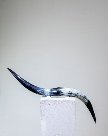 Świat Blasku – fragment wystawy Anny Bujak na Zamku Sieleckim w Sosnowcu