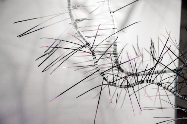 Świat Blasku – fragment wystawy Anny Bujak na Zamku Sieleckim w Sosnowcu