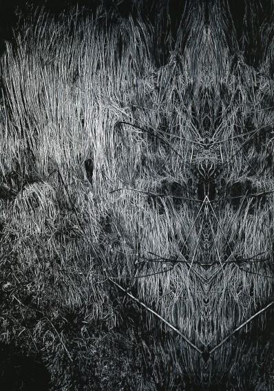 Anna Kadź, Into the depths V, 2025