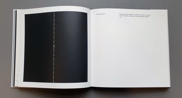 Publikacja a!symetrie środek