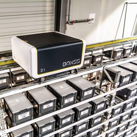 Grzegorz Rozwadowski, Boxss