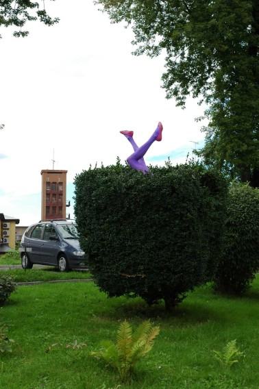 cecylia-malik-365-drzew-2009-2010-fot.-cecylia-malik