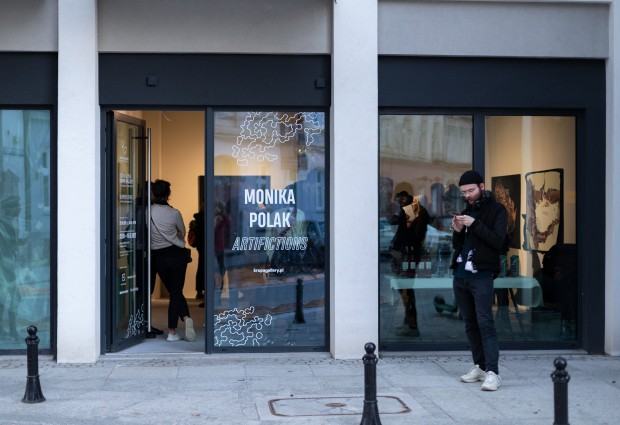 Dokumentacja wystawy doktorskiej Moniki Polak pt. Artifictions